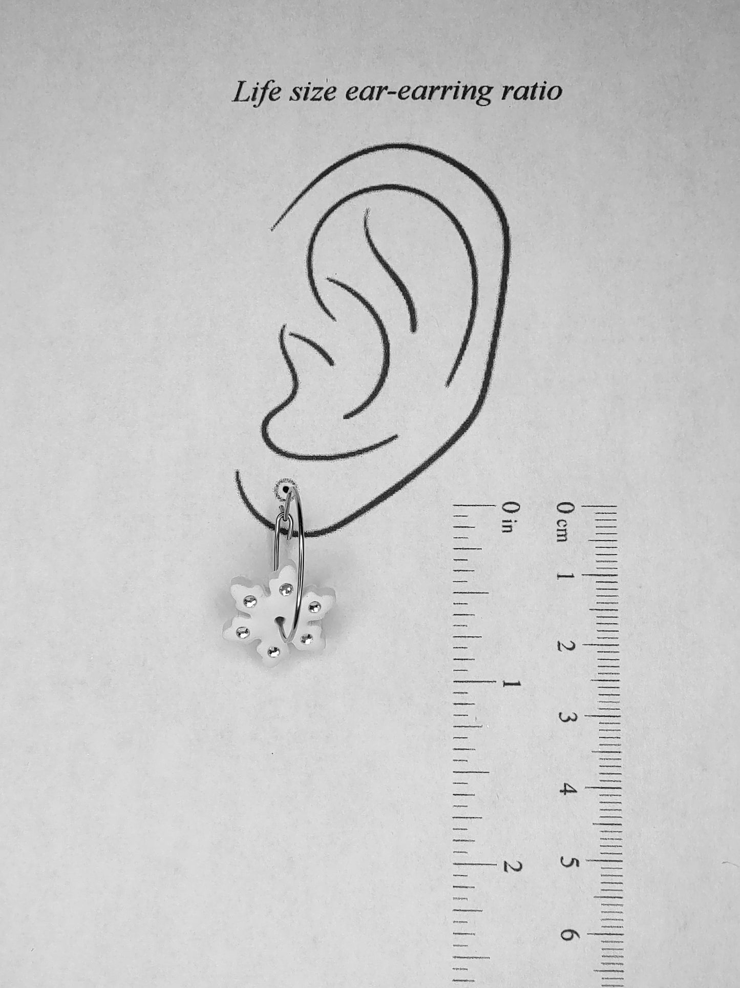 Liana Earrings - Hoops