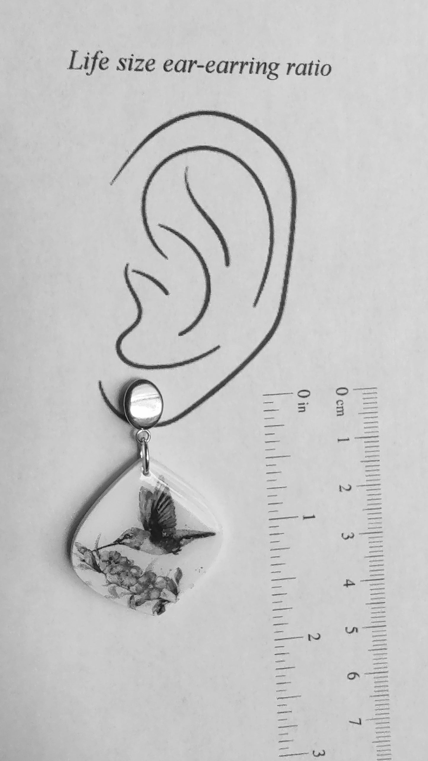 Violet Earrings