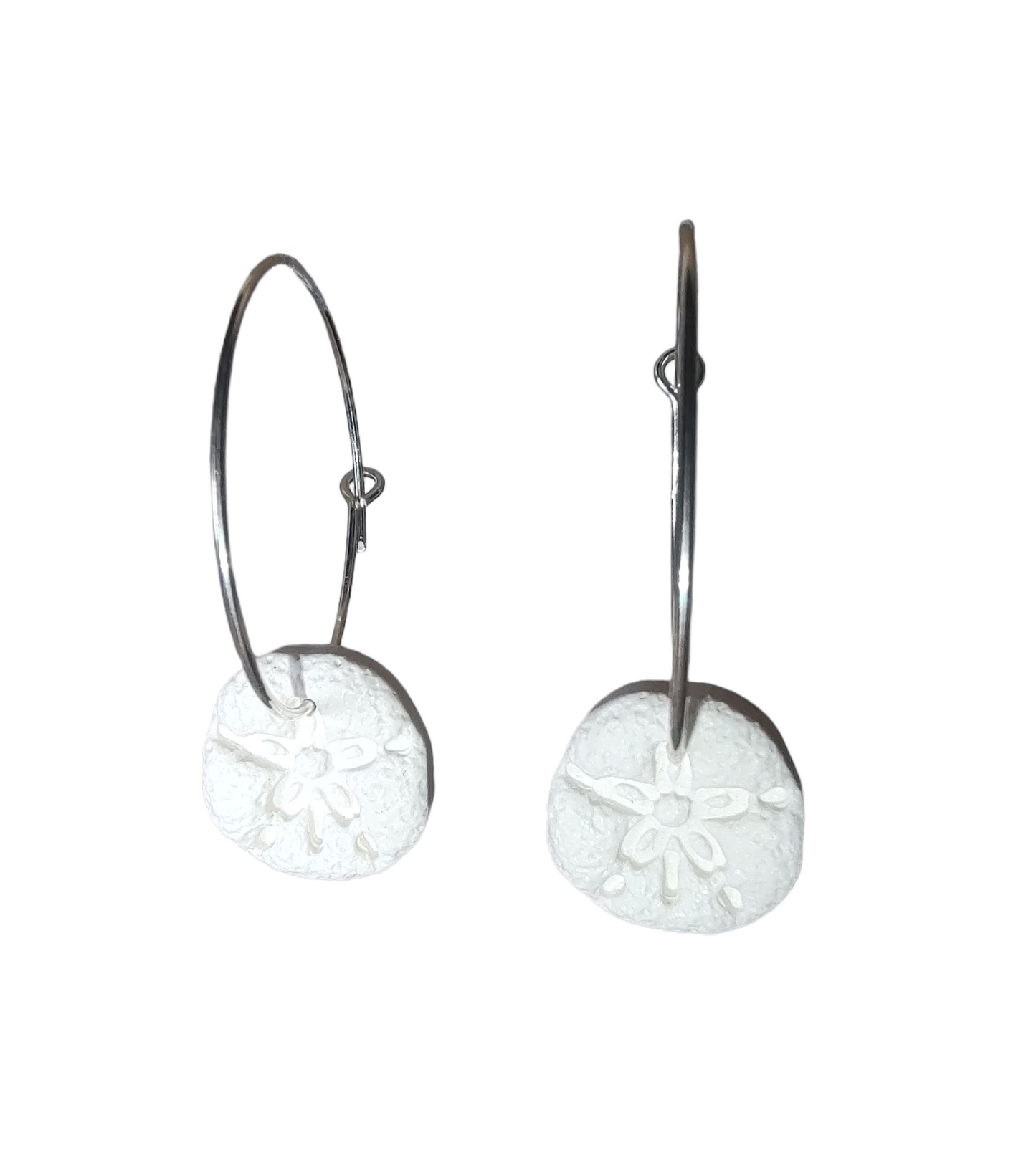 Sand Dollar Hoop Earrings